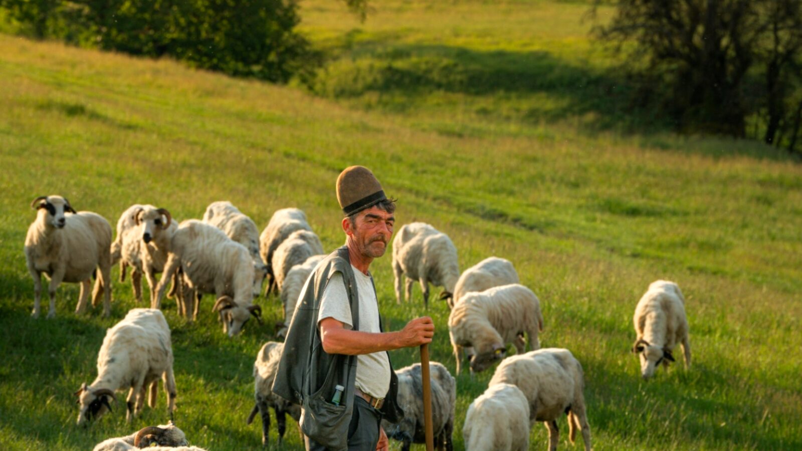 Adevărul despre „local”