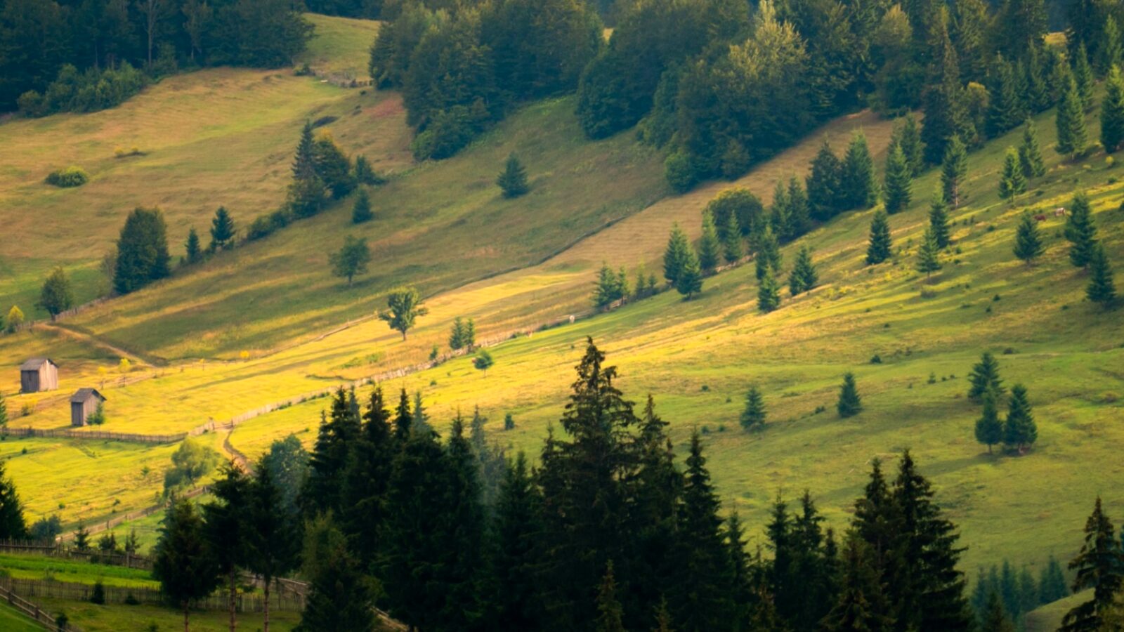 Harta fermelor României