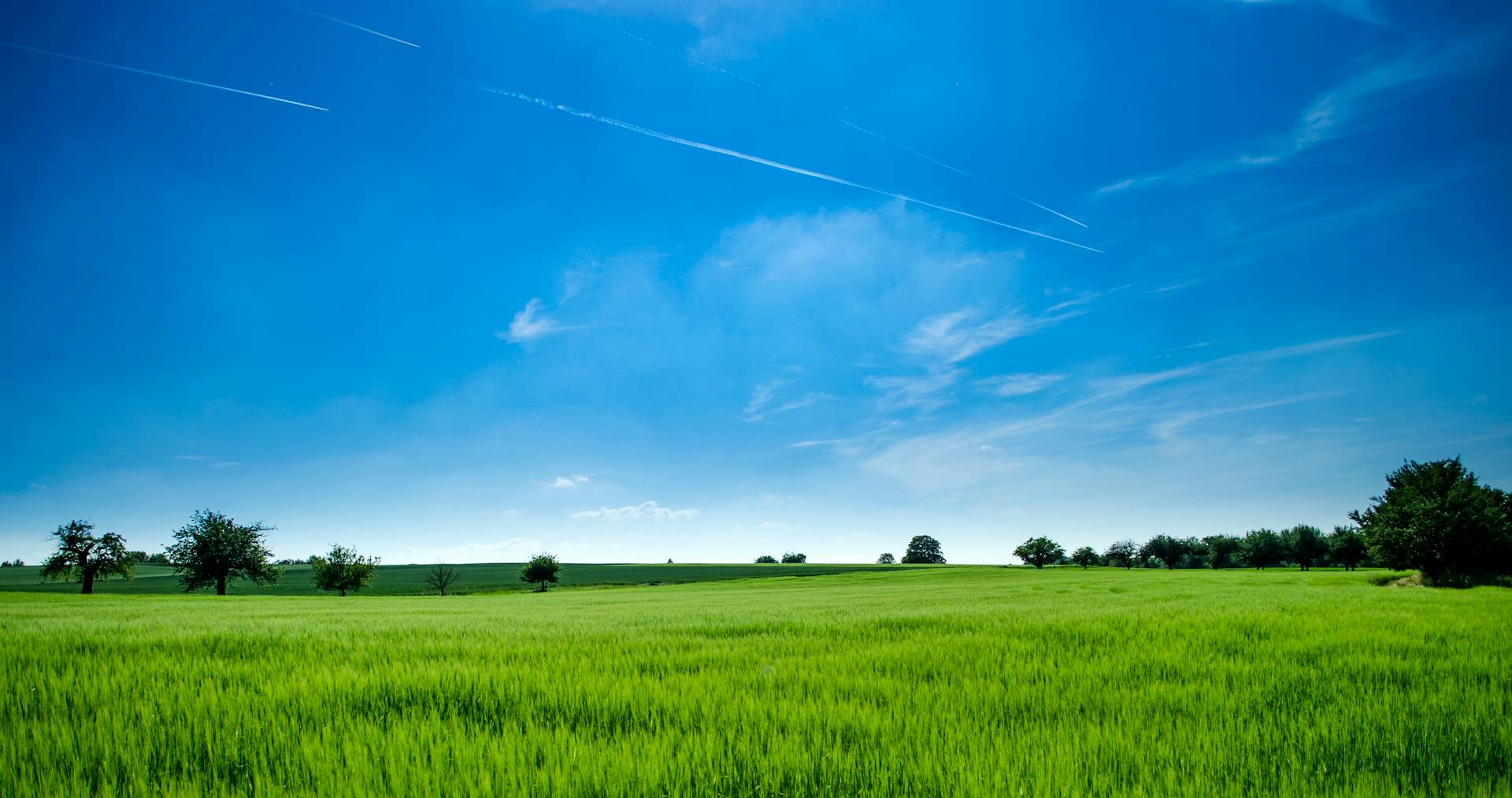Câmpuri agricole în România, Croppo piața online pentru fermieri